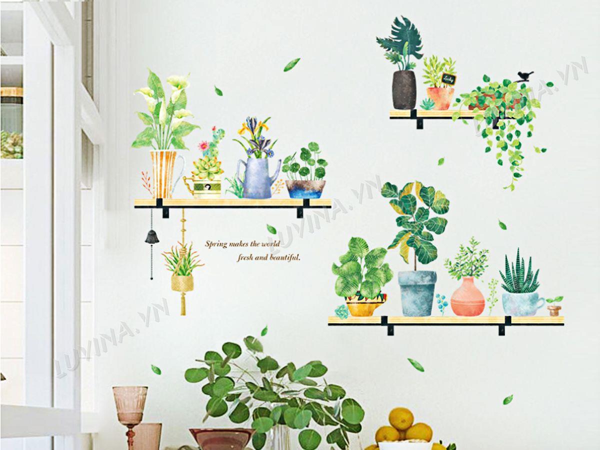DECAL  KỆ CÂY RAU MÁ