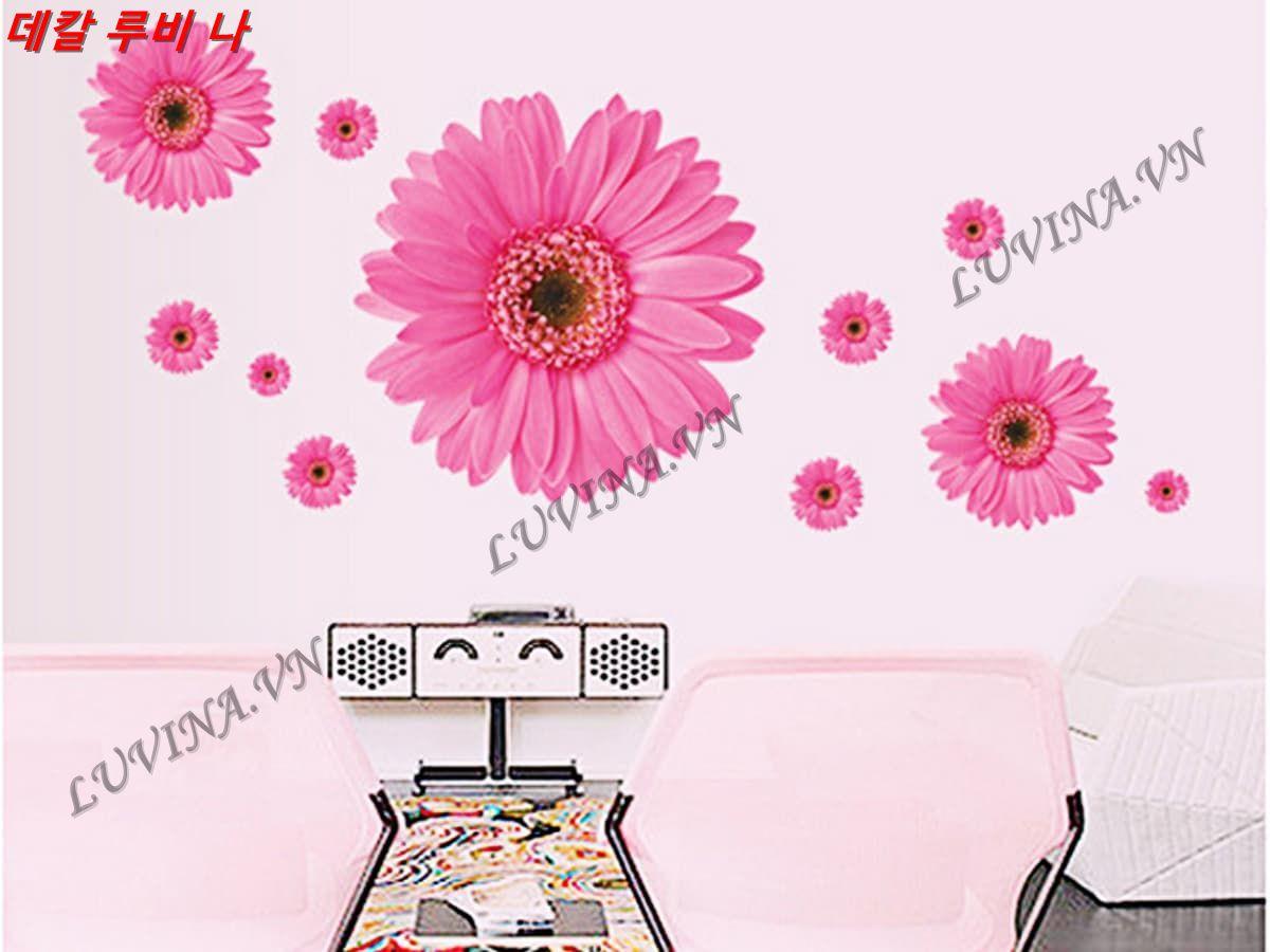 DECAL TRANG TRÍ HOA ĐỒNG TIỀN HỒNG