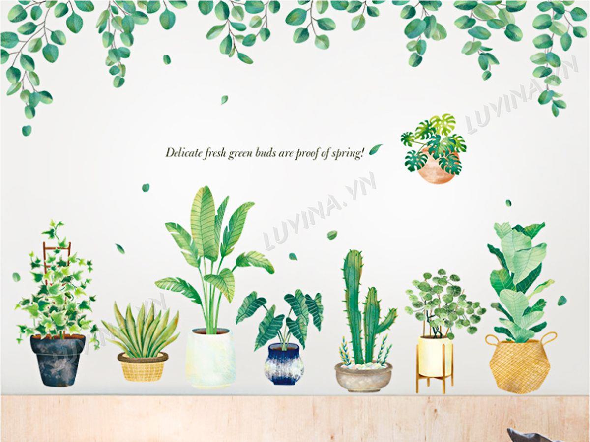 DECAL CHẬU CÂY QR