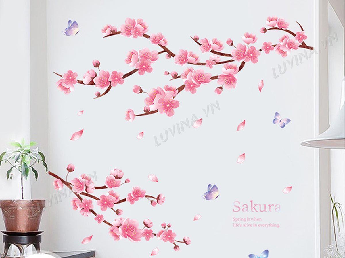 DECAL HÀN QUỐC TÁN ĐÀO