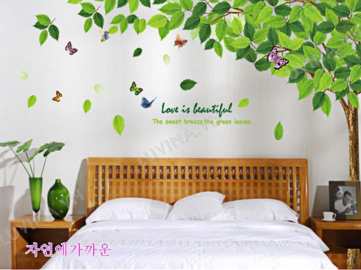 DECAL TRANG TRÍ CÂY TÁN XANH