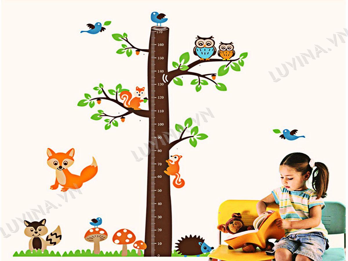 DECAL TRANG TRÍ THƯỚC SÓC