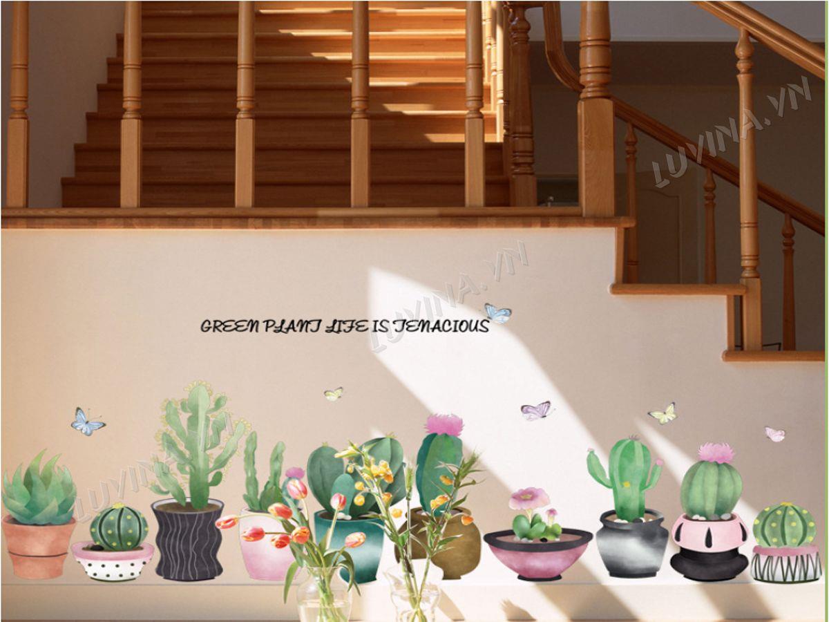 DECAL TRANG TRÍ CHẬU XƯƠNG RỒNG TO