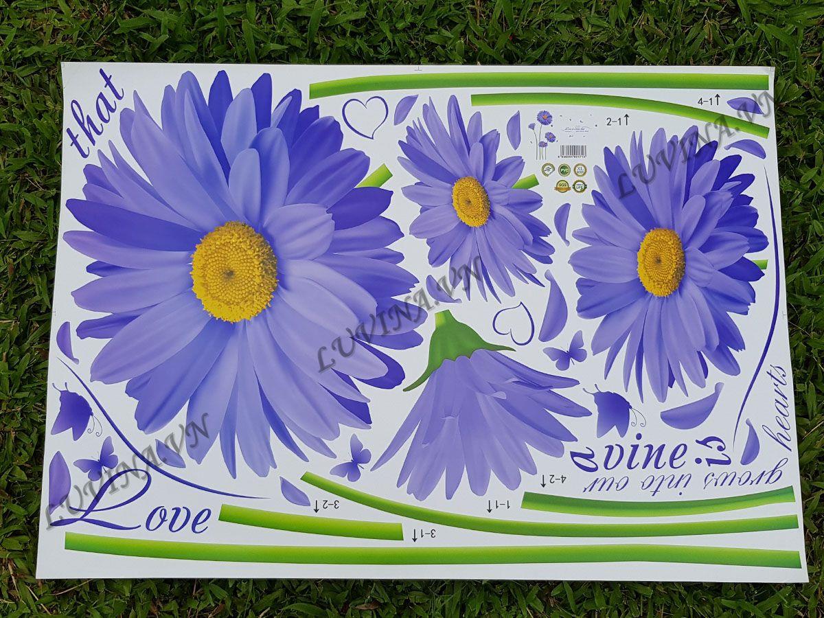 DECAL TRANG TRÍ HOA ĐỒNG TIỀN TÍM